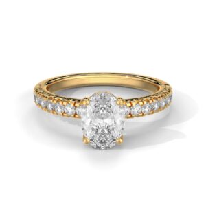 Oval Cut Hidden Halo Engagement Ring