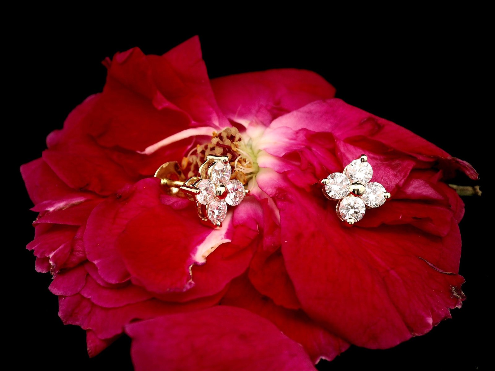 Yellow Gold Round Diamond Floral Studs - Image 6