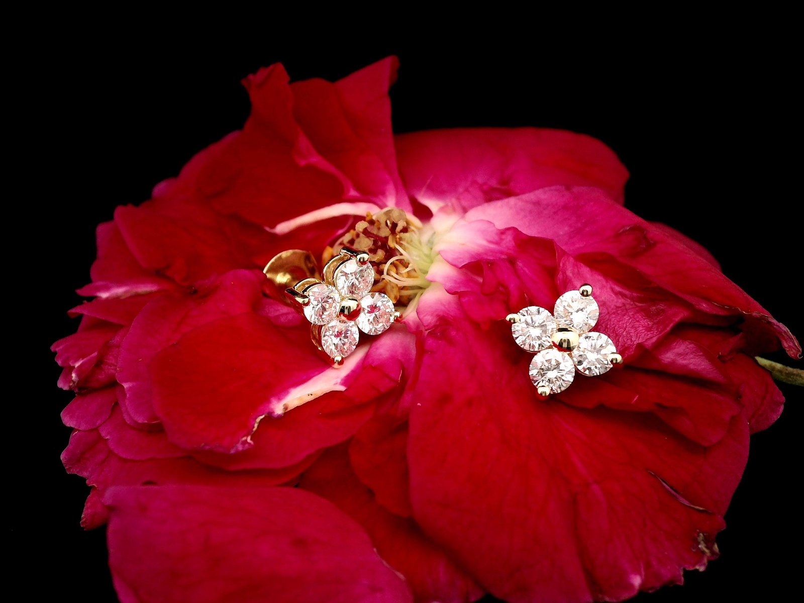 Yellow Gold Round Diamond Floral Studs - Image 7